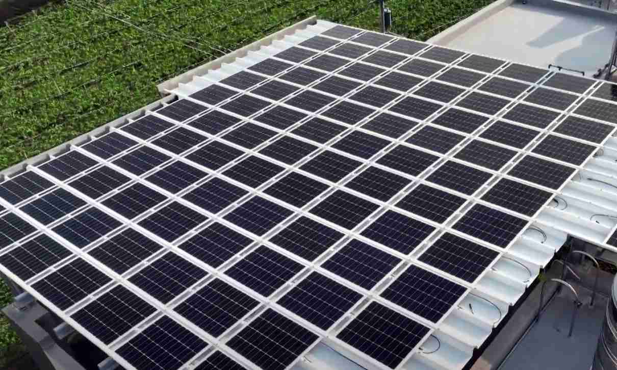 888.BY集团电子游戏SunSteel光电浪板升级双玻结构，，，，以提升机械负载强度及气候耐候度，，，，可广泛运用于多元场域